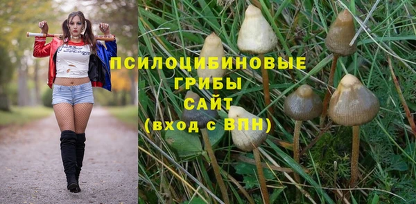 эйфоретик Балахна